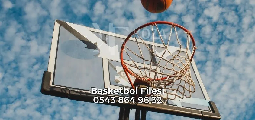 Basketbol Filesi