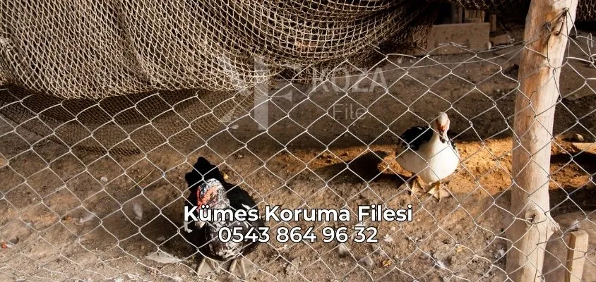 Kümes Koruma Filesi