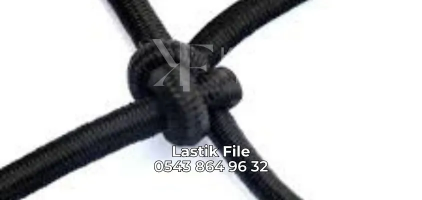 Lastik File