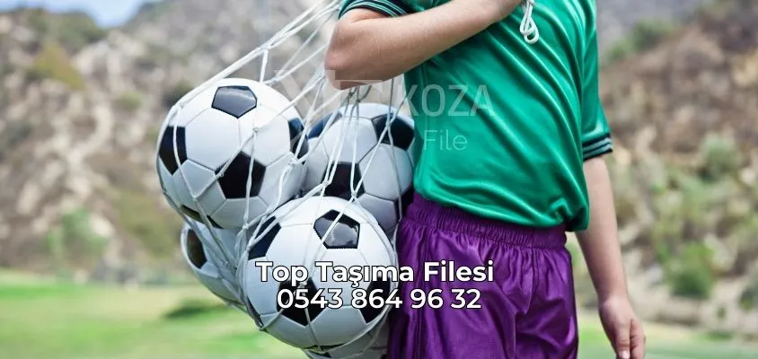 Top Taşıma Filesi