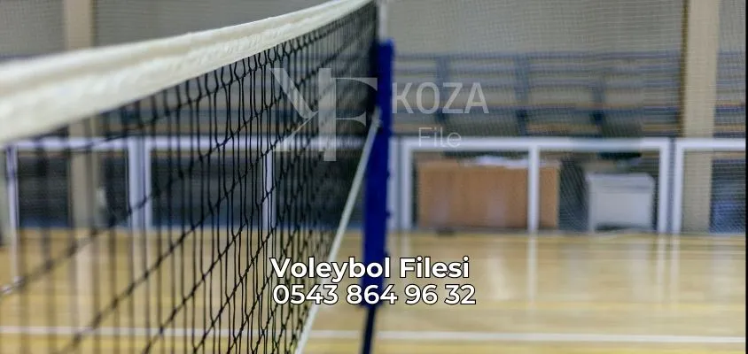 Voleybol Filesi