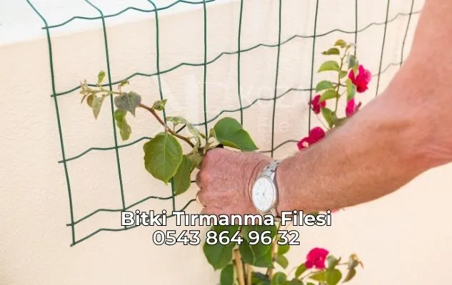 Bitki Tırmanma Filesi