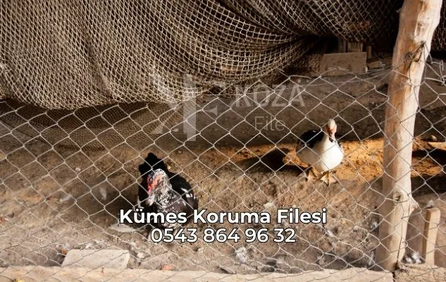 Kümes Koruma Filesi