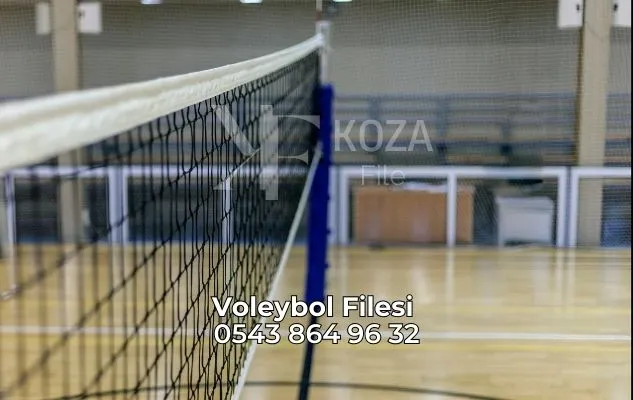 Voleybol Filesi